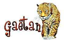 Gaetan