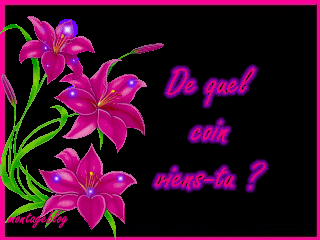 De quel coin viens-tu????