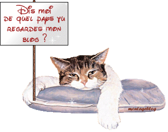 Dis moi dans quel pays tu regarde mon blog???